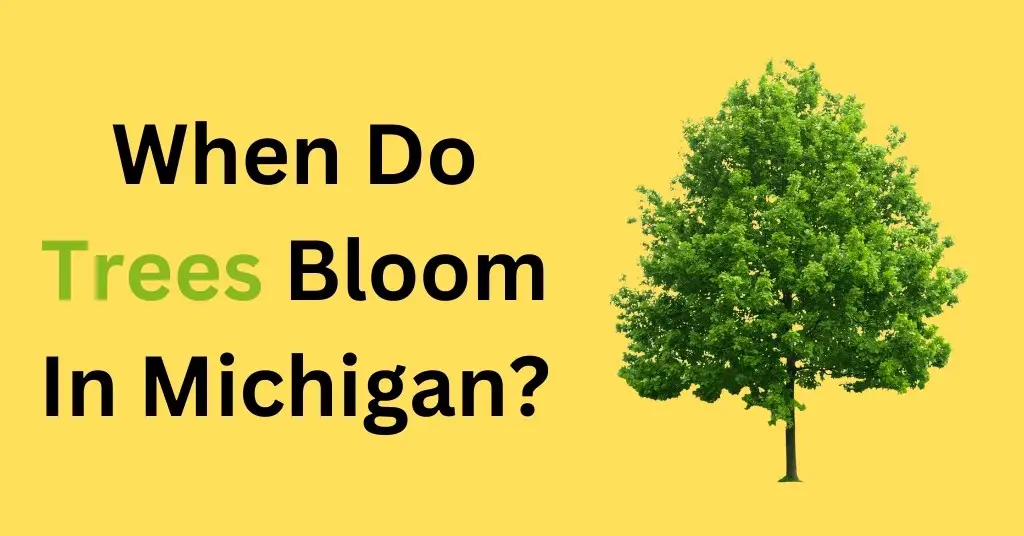 When Do Trees Bloom In Michigan?