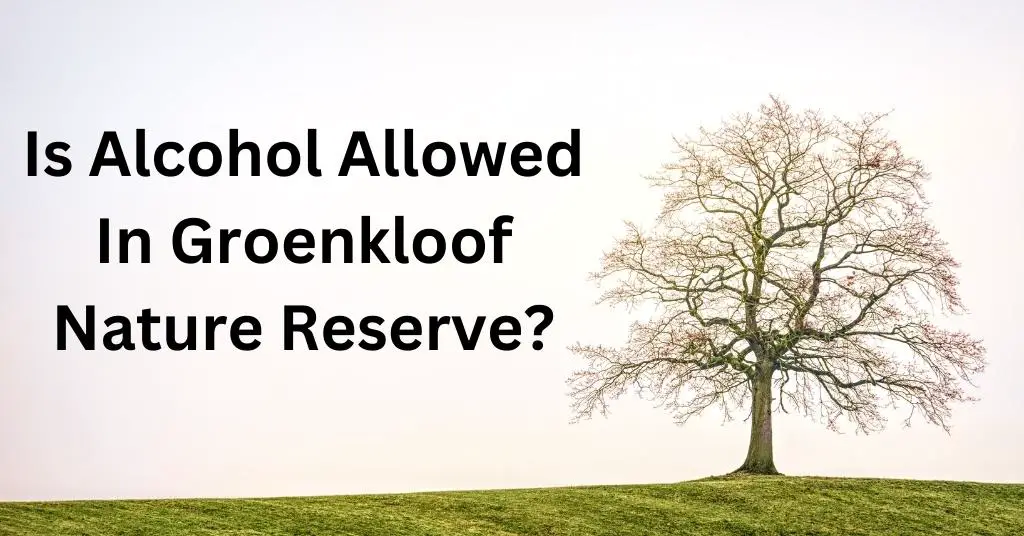 Is Alcohol Allowed In Groenkloof Nature Reserve?