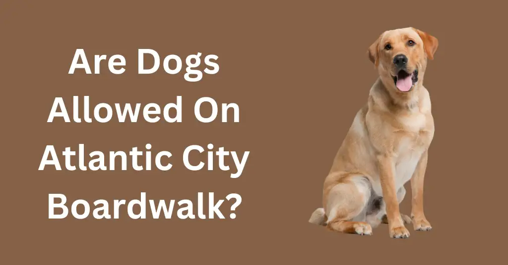 are dogs allowed on atlantic city nj boardwalk