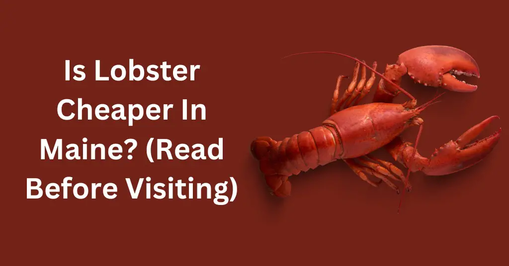 Is Lobster Cheaper In Maine? (Read Before Visiting)