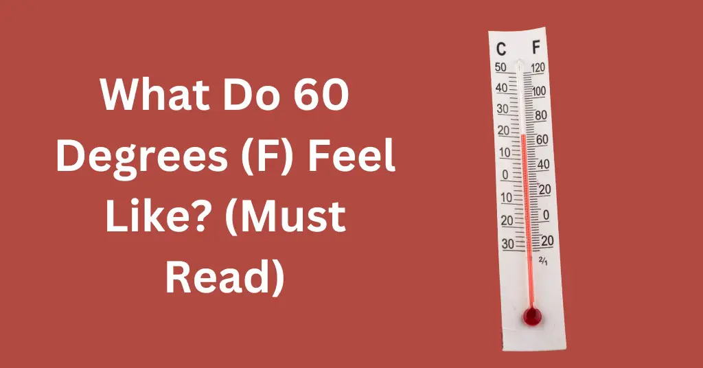 What Do 60 Degrees (F) Feel Like? (Must Read)