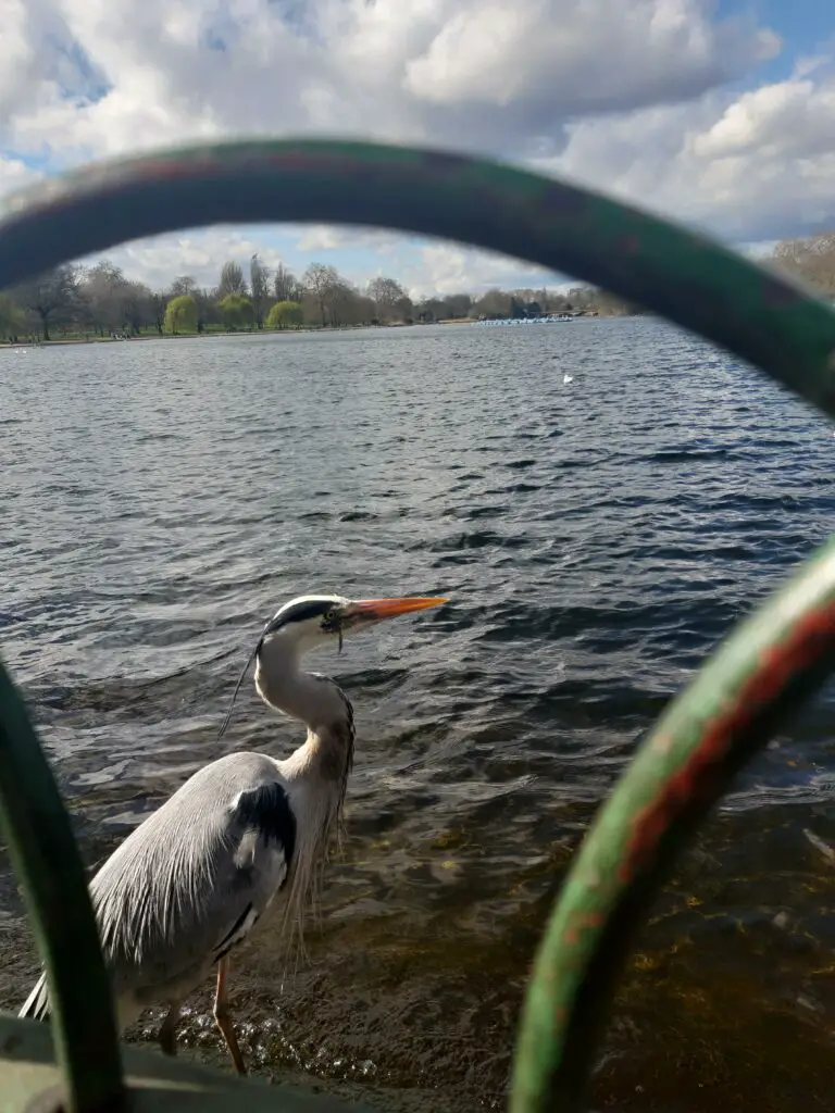 Hyde park, london