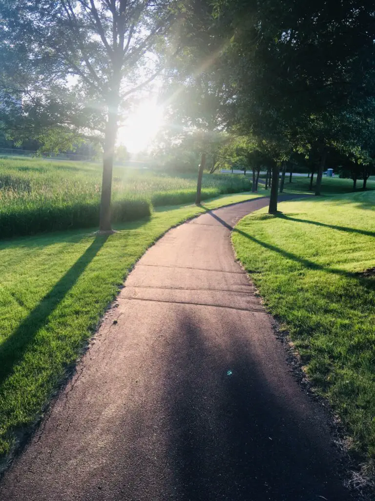 Summer in Minnesota