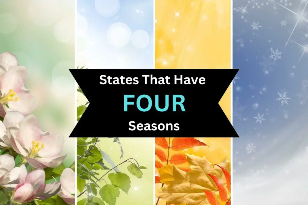 four seasons