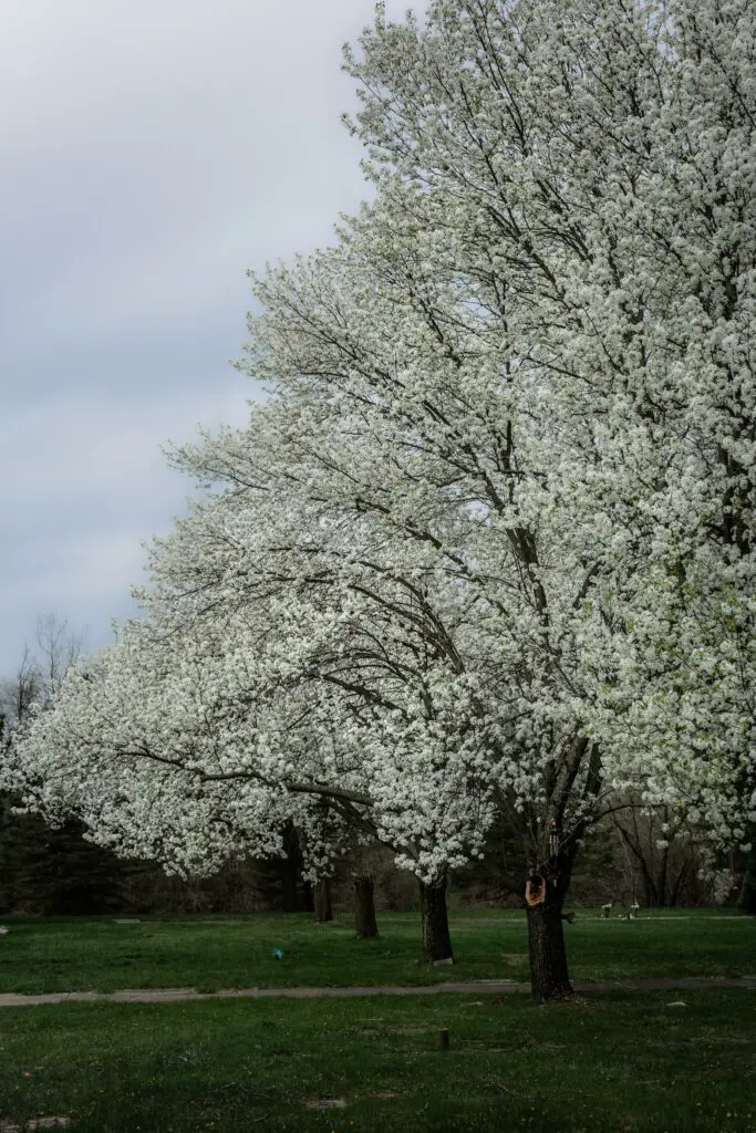 spring in michigan