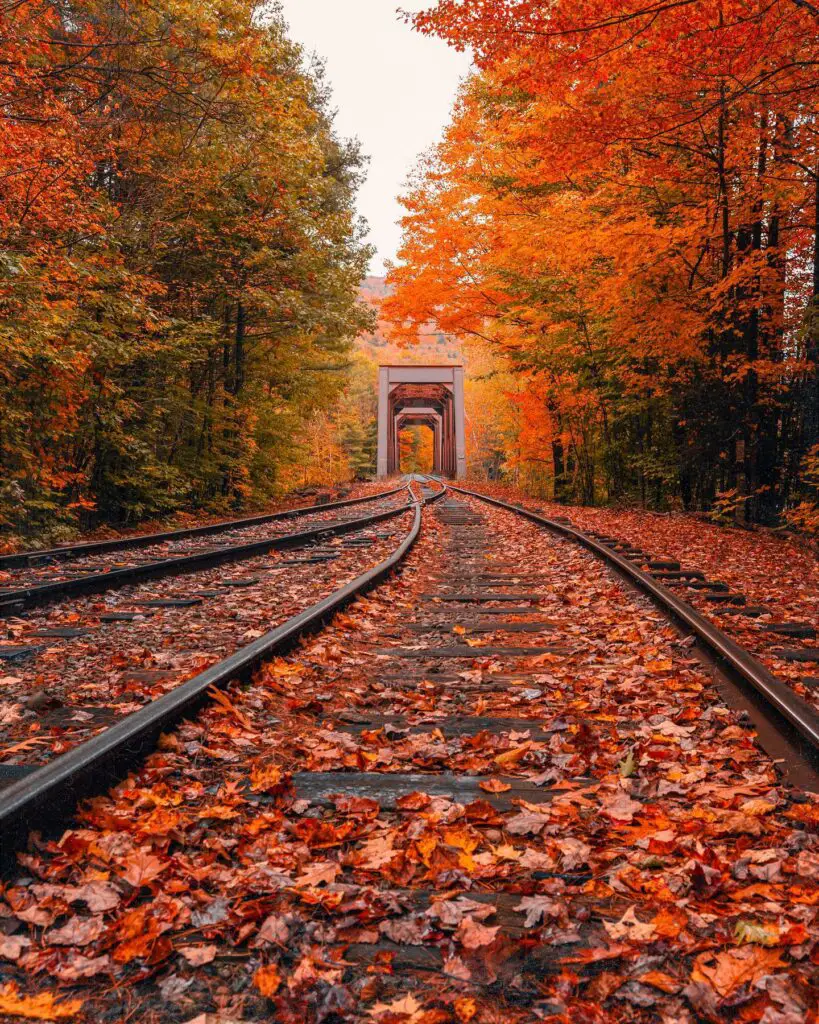 Fall in New Hampshire